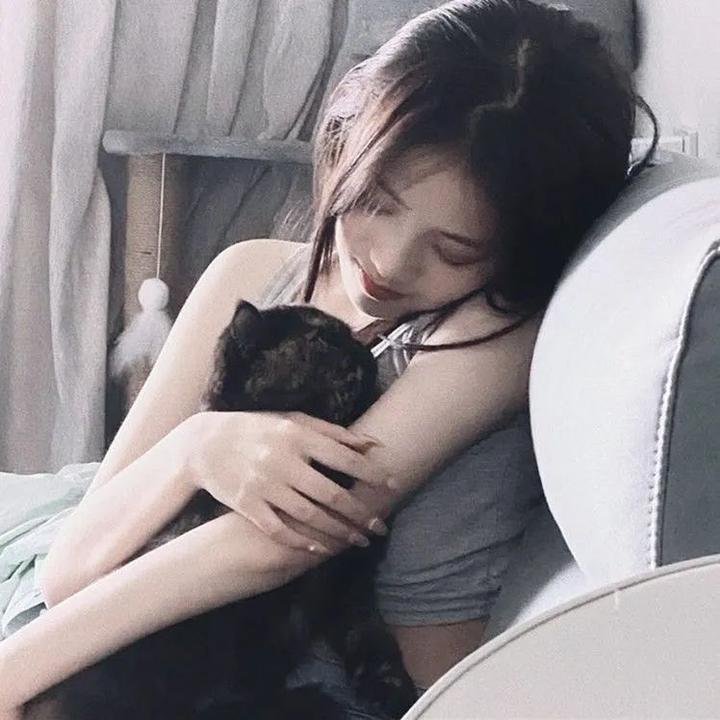 阴阳路5：一见发财国语