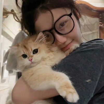 汪汪队立大功第九季